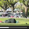 NYC Couple Under Blanket Park Original Video