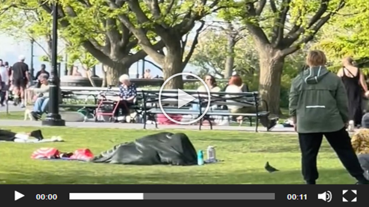 NYC Couple Under Blanket Park Original Video